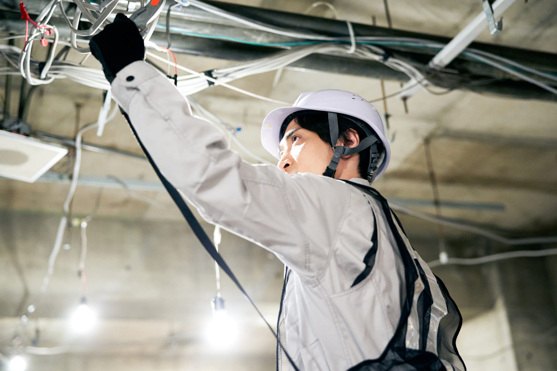 AdobeStock_482793236